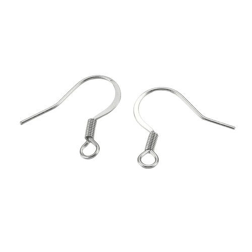 Stainless steel ear wires